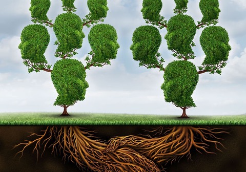 558033_1ab52e1a38da4ef5a1bedeeafa348a9c~mv2